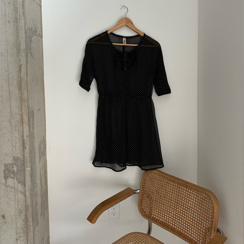 vintage polka dot sheer dress